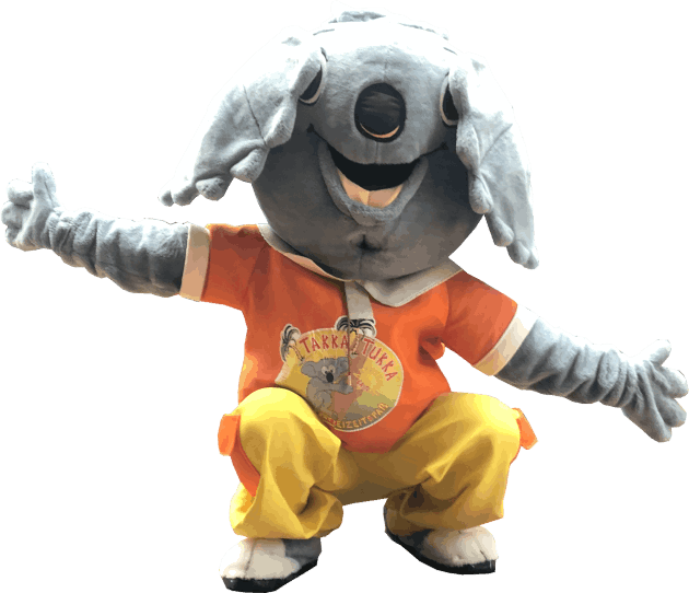 Takka Luba der Koala Bär